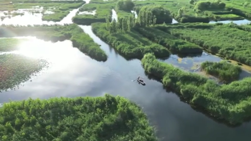 新华全媒+｜逛雄安VLOG：探秘白洋淀水质检测&ldquo;黑科技&rdquo;