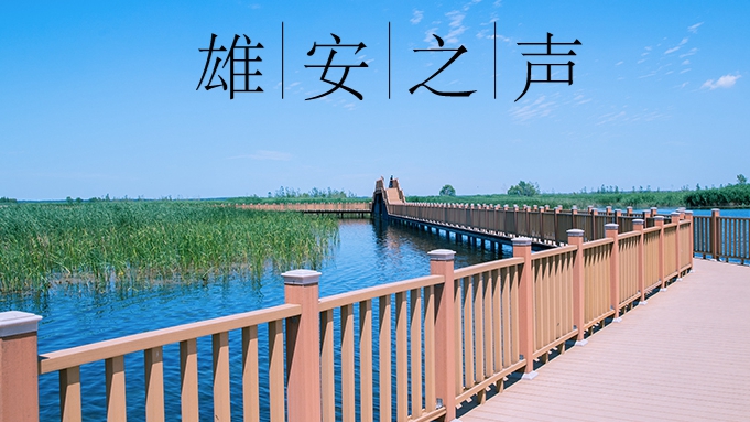 【雄安之声】20221031