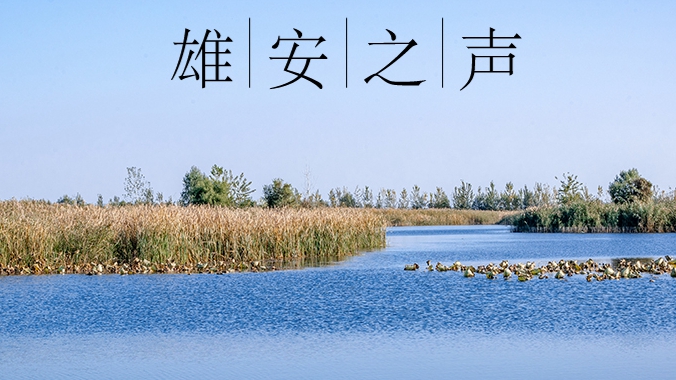 【雄安之声】20221114