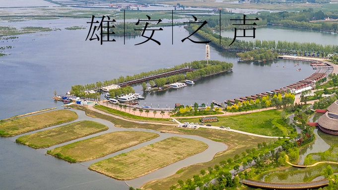 【雄安之声】20221118