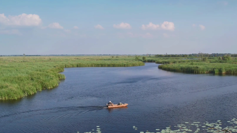友好雄安·童梦未来