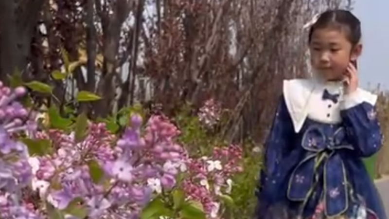 我们都是友善之花