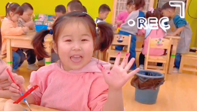 青青之禾——创意石头画