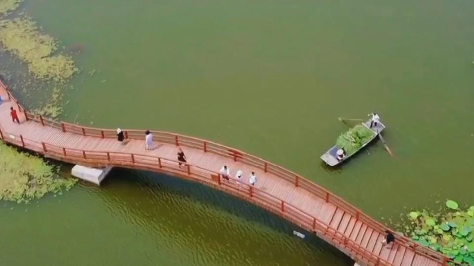 我的环保小故事