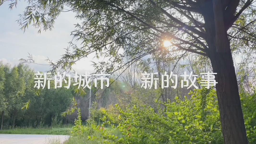 新的城市 新的故事