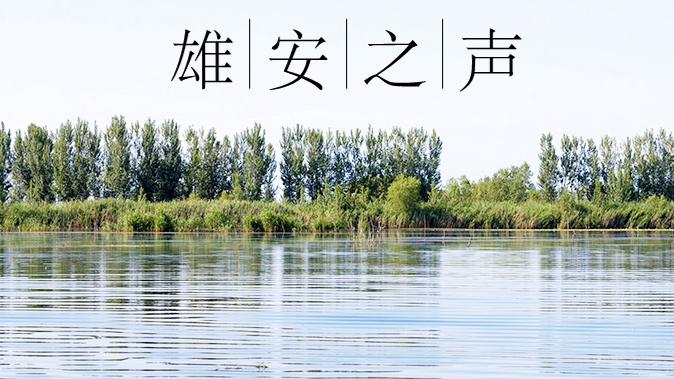 【雄安之声】20230706