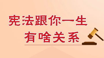 百姓看联播丨宪法跟你一生有啥关系?