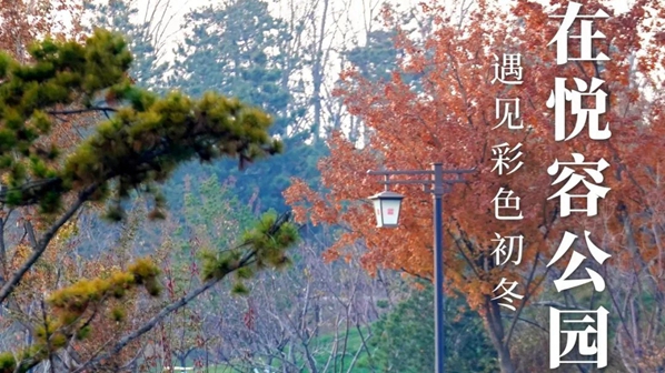 在悦容公园,遇见彩色初冬