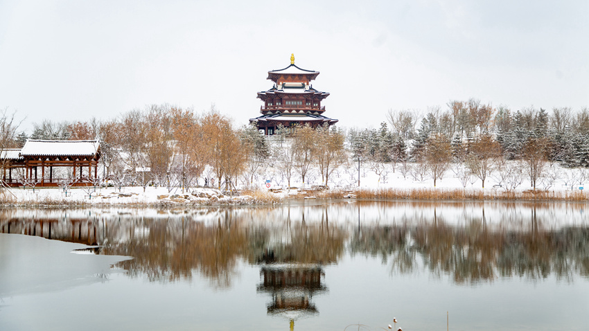 发现雄安丨雄安新区迎初雪 满目冬韵