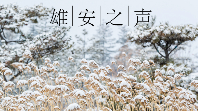 【雄安之声】20231215