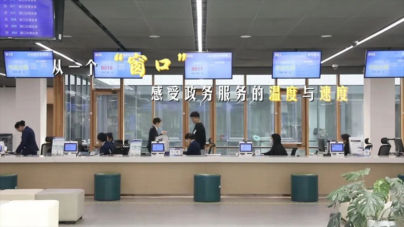 从一个“窗口”,感受政务服务的温度与速度!