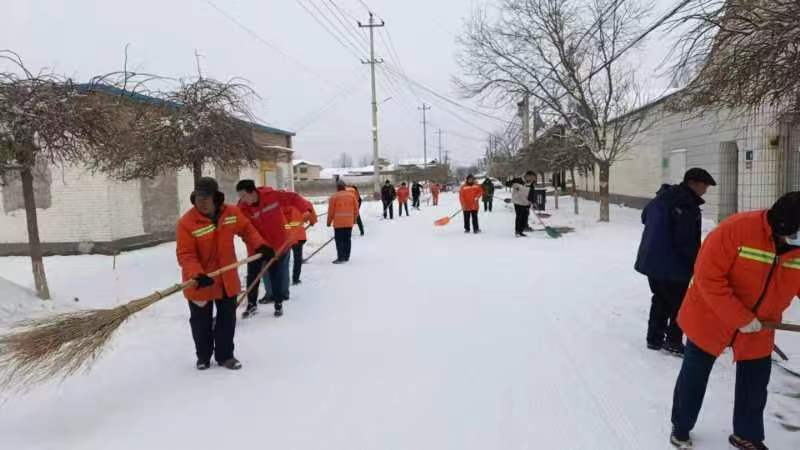 雄安新区安新县龙化乡积极开展“清雪除冰保安全”行动