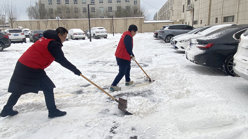 雄安新区建设和交通管理局开展“清雪除冰”志愿服务活动