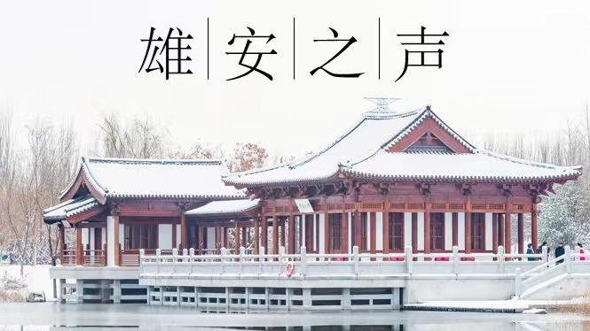 【雄安之声】20231220