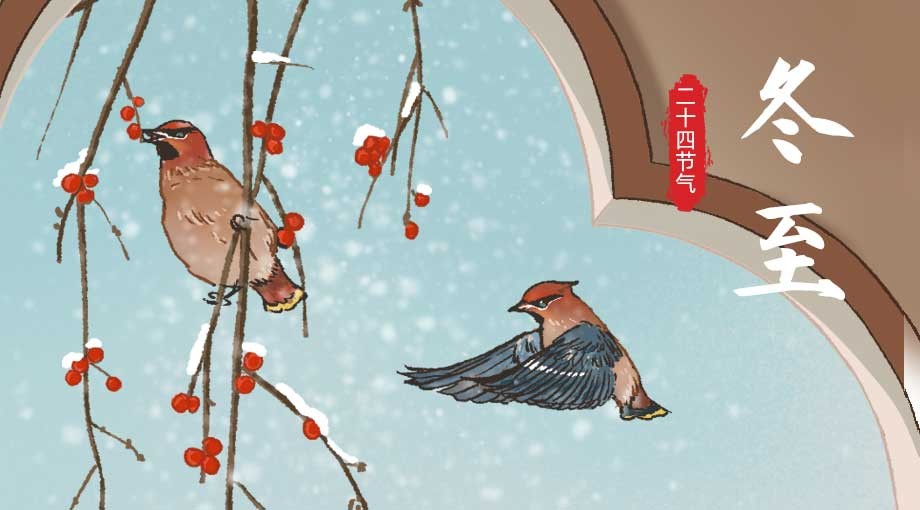 手绘二十四节气·冬至|凌花入梦冬至催 数九消寒待春归
