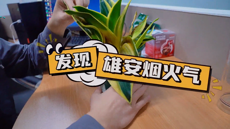 雄安烟火气丨烟火气满满!雄安乡村产业走出新“花”样