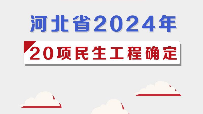 图解丨河北省2024年20项民生工程确定