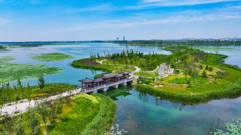 白洋淀成为涵养雄安绿色发展的&ldquo;生态之湖&rdquo;