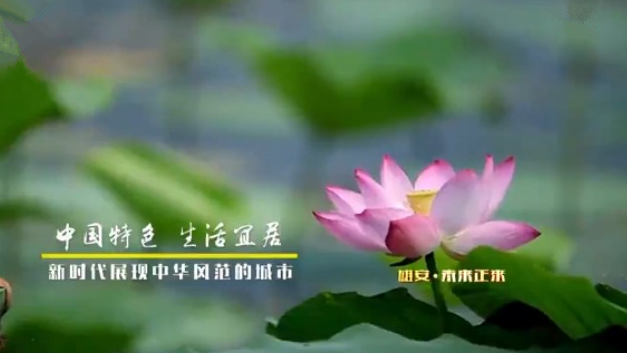 《河北雄安新区规划纲要》解读——雄安·未来正来（一）