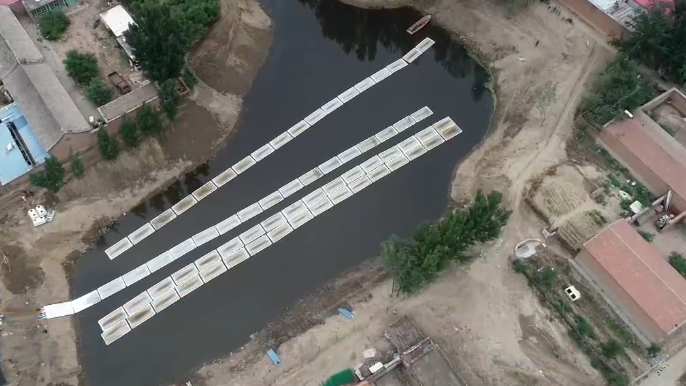 【视频】雄安新区：纳污坑塘治理“攻坚战”年底全部完成