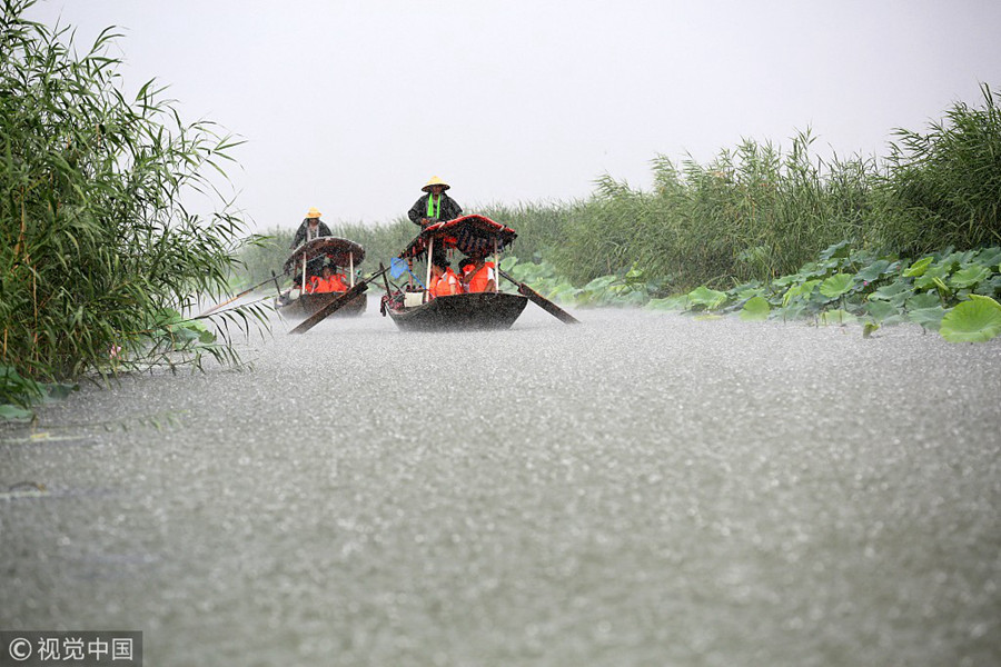 雄安：白洋淀雨后清凉引客来