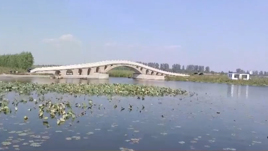 [视频]雄安招选生态湿地先进治理技术初选结果公布