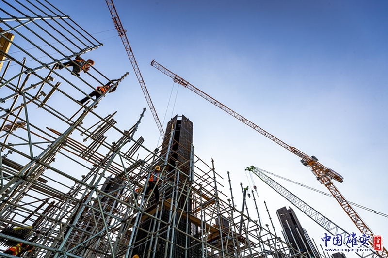 身系安全带的&ldquo;架子工&rdquo;，如同&ldquo;蜘蛛侠&rdquo;一般穿梭在钢筋林立的高空。中国雄安官网记者马梦迪 摄