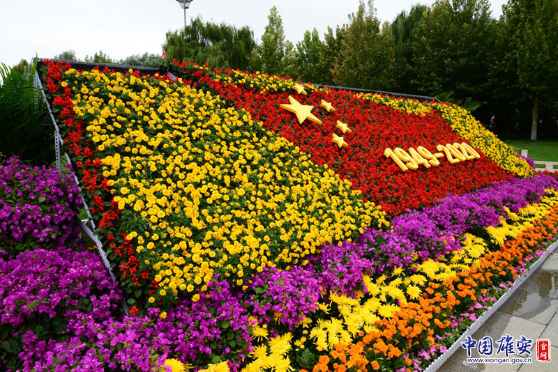 国庆花坛常见的草花图片