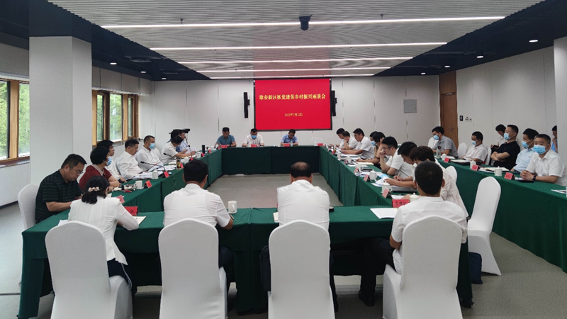 雄安新区召开抓党建促乡村振兴座谈会