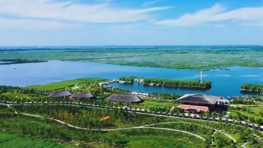 &ldquo;歪果仁&rdquo;看雄安：感受生态之美