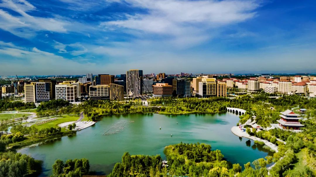 雄言：今日春花格外明艳