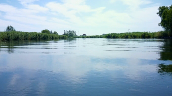 水清如许&bull;白洋淀