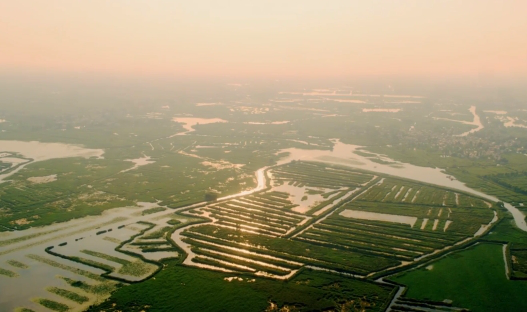 七岁雄安 听听他们怎么说